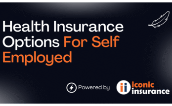 2025 Guide to Self-Employed Health Insurance in the USA