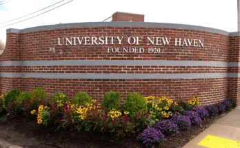 University of New Haven Scholarships: A Complete Guide for 2024