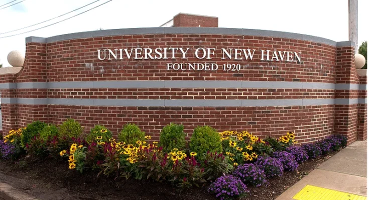 University of New Haven Scholarships: A Complete Guide for 2024