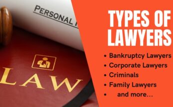Top 5 Most Common Types of Lawyers in the USA